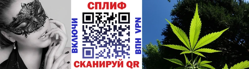 МЕФ Полевской