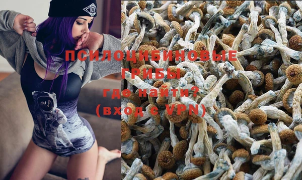 шишки Алексин