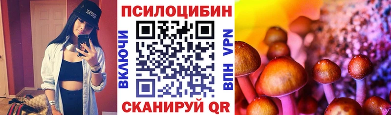 маркетплейс наркотические препараты  ссылка на мегу   Полевской  купить   Псилоцибиновые грибы GOLDEN TEACHER 
