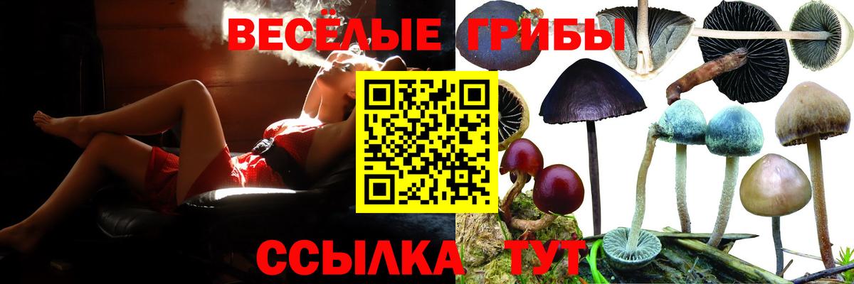 Полевской  Псилоцибиновые грибы MAGIC MUSHROOMS  где продают наркотики  Псилоцибиновые грибы прущие грибы  Вход с VPN 